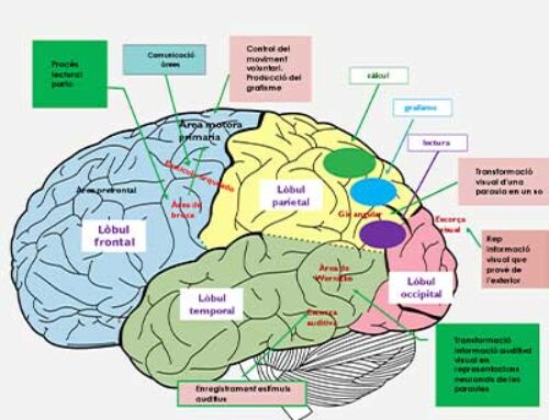 ¿ESCRIBIR ES UN ACTO NEURONAL O PSÍQUICO?